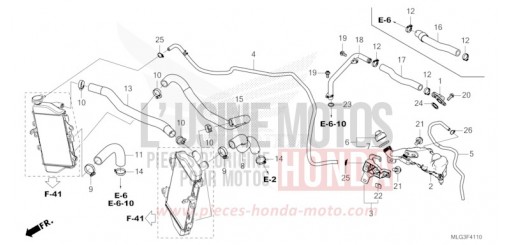 RADIATOR HOSE/WATER PIPE CRF1100DN____________ de 2022